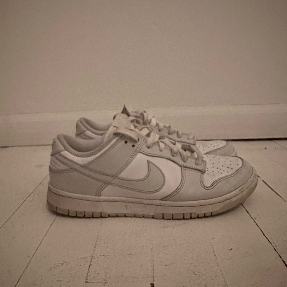Nike Dunk Low Top Sneakers